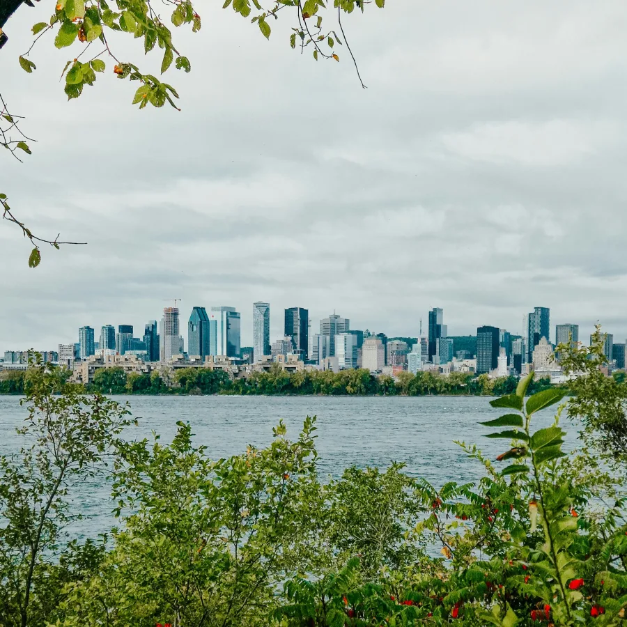 The Montreal skyline seen from the far bank of the river, through the trees