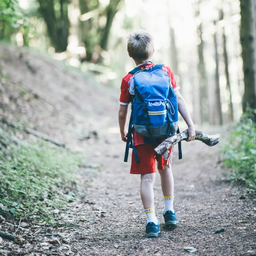 A child seen from behind, backpack on, walking along a forest path