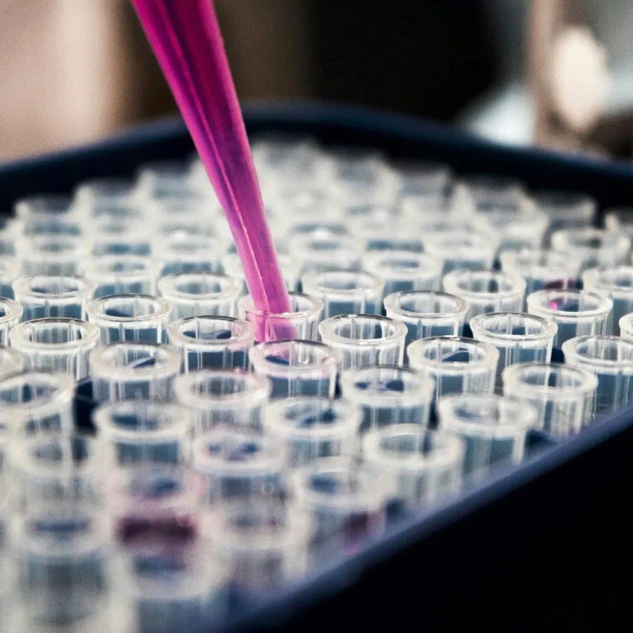 Pipette placing a sample into a laboratory plate of microtubes